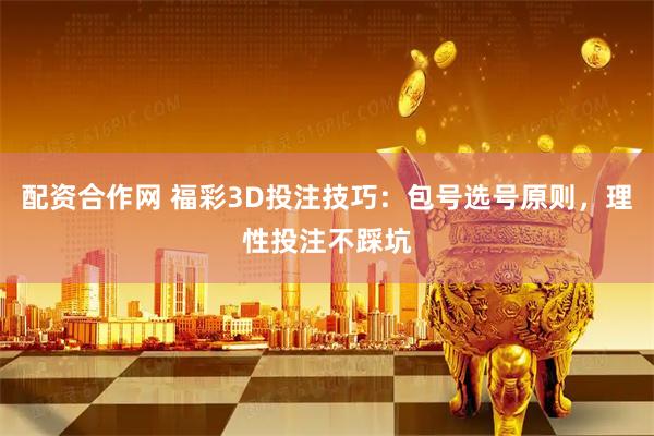 配资合作网 福彩3D投注技巧：包号选号原则，理性投注不踩坑